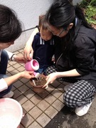 IMG_4450.jpg